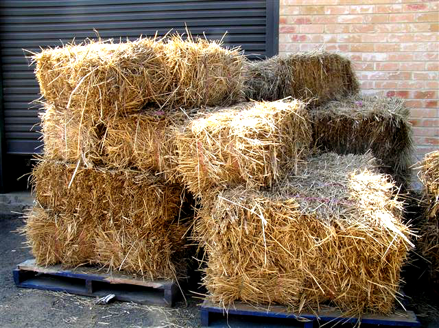 How to make straw bale gardens